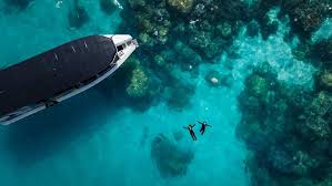 Diving at the reef